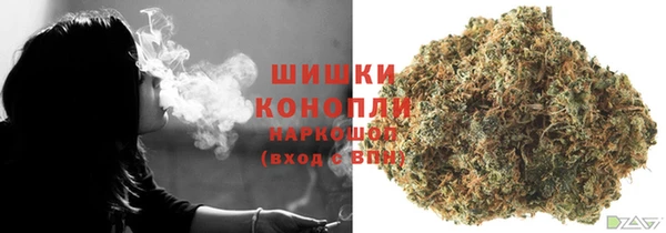 шишки Арсеньев