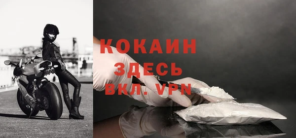 дурь Пестово