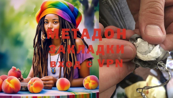 шишки Арсеньев