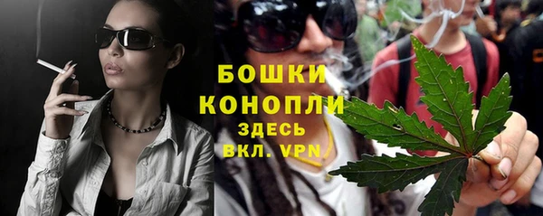 шишки Арсеньев