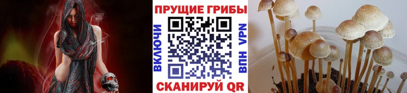 это официальный сайт  купить наркотик  Арск  Галлюциногенные грибы Cubensis 